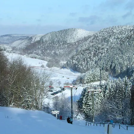 Waldhotel Отель 2*