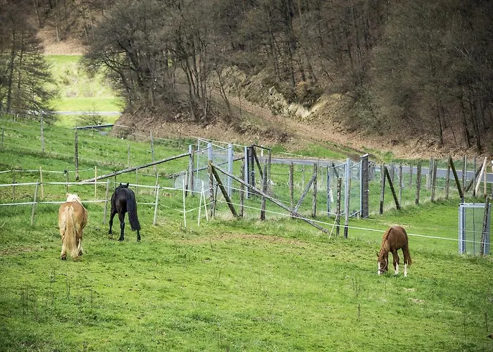 Hotel Waldhotel Kaltenborn (Rhineland-Palatinate)